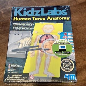 KidzLabs Human Torso Anatomy kit